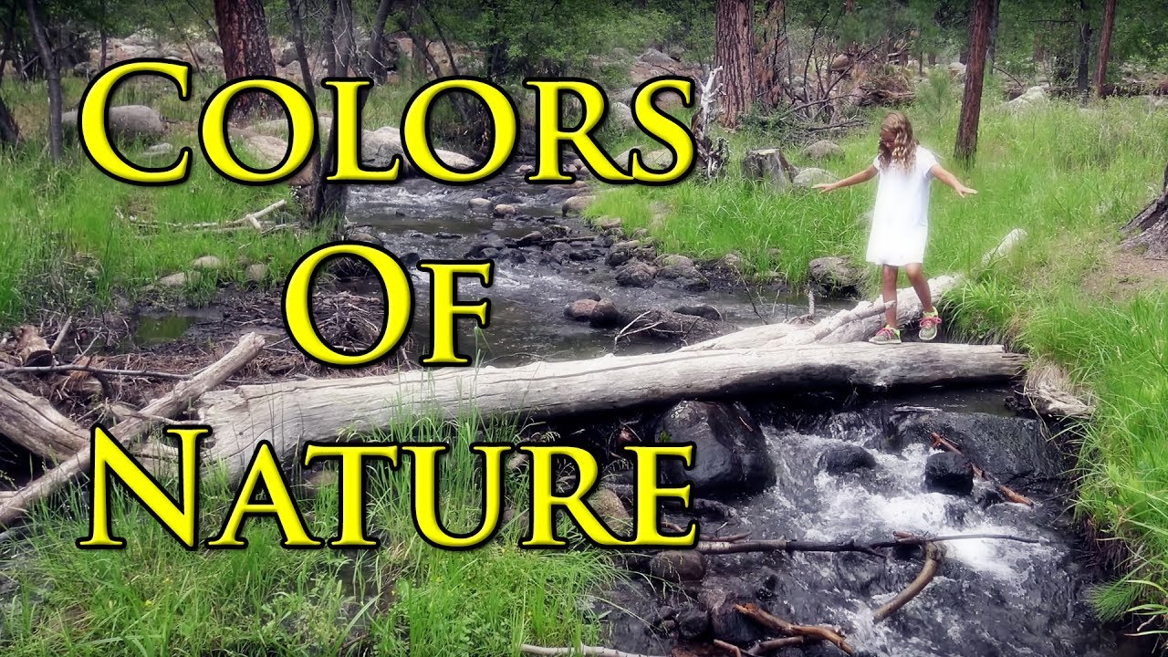 Colors of Nature - children's educational video