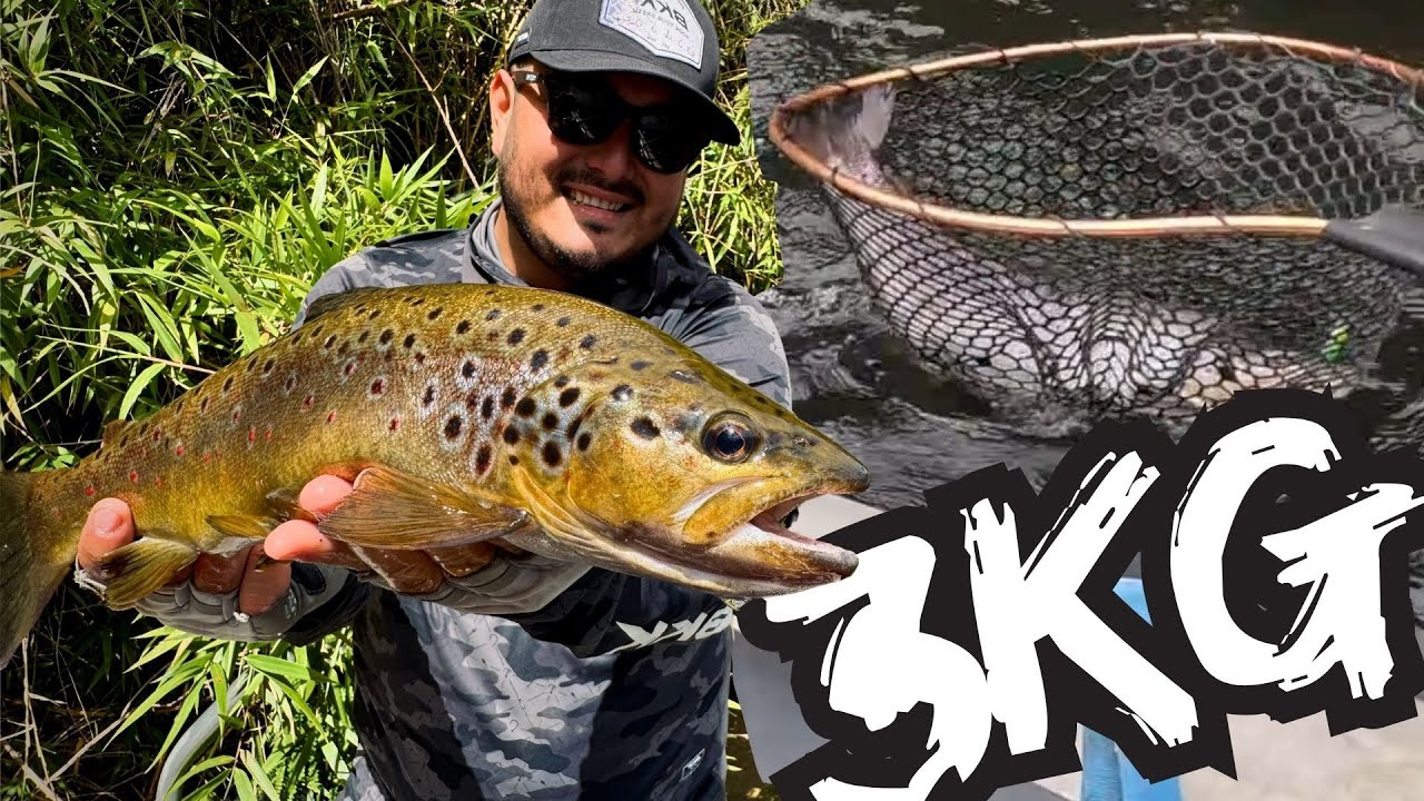 PESCA DE RÍO ¿Dónde lanzo? para PESCAR GRANDES TRUCHAS.