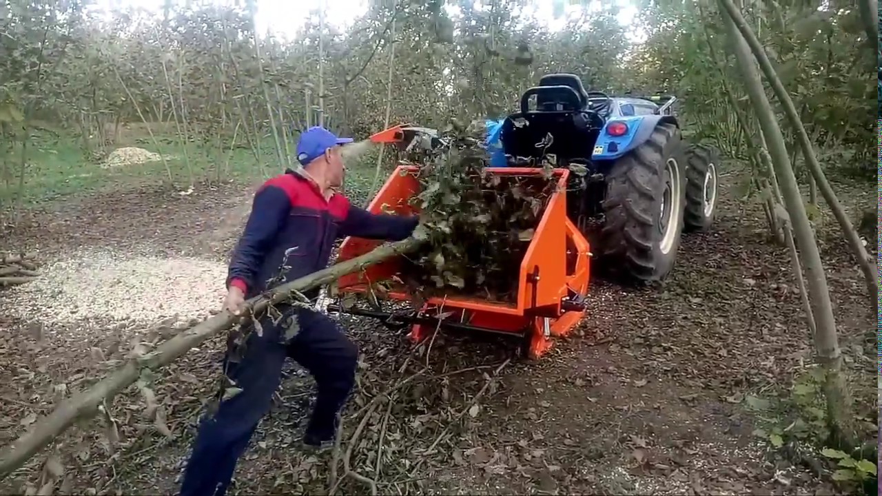 FINDIK DALI PARÇALAMA MAKİNESİ