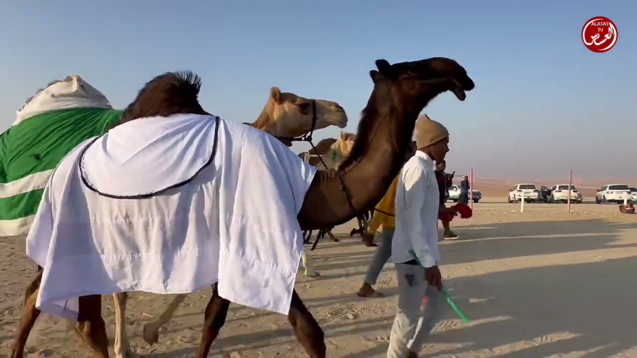 مهرجان