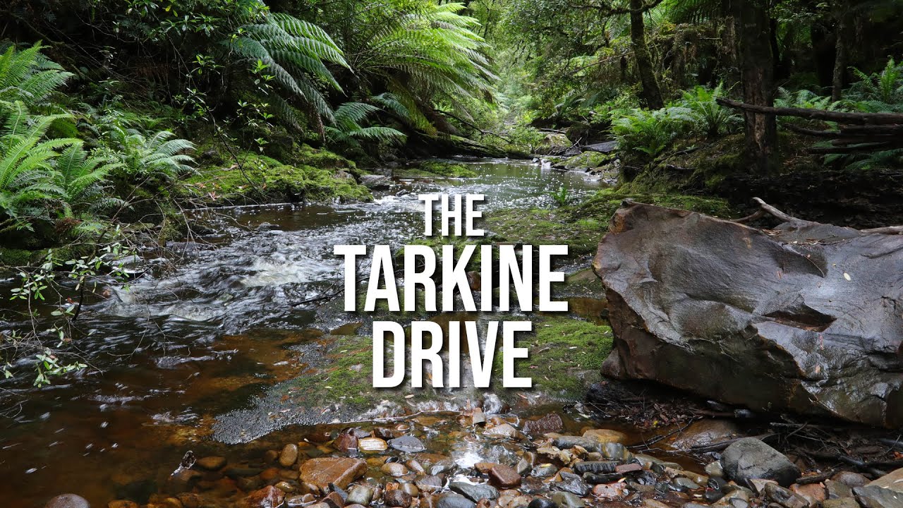 The Tarkine Drive