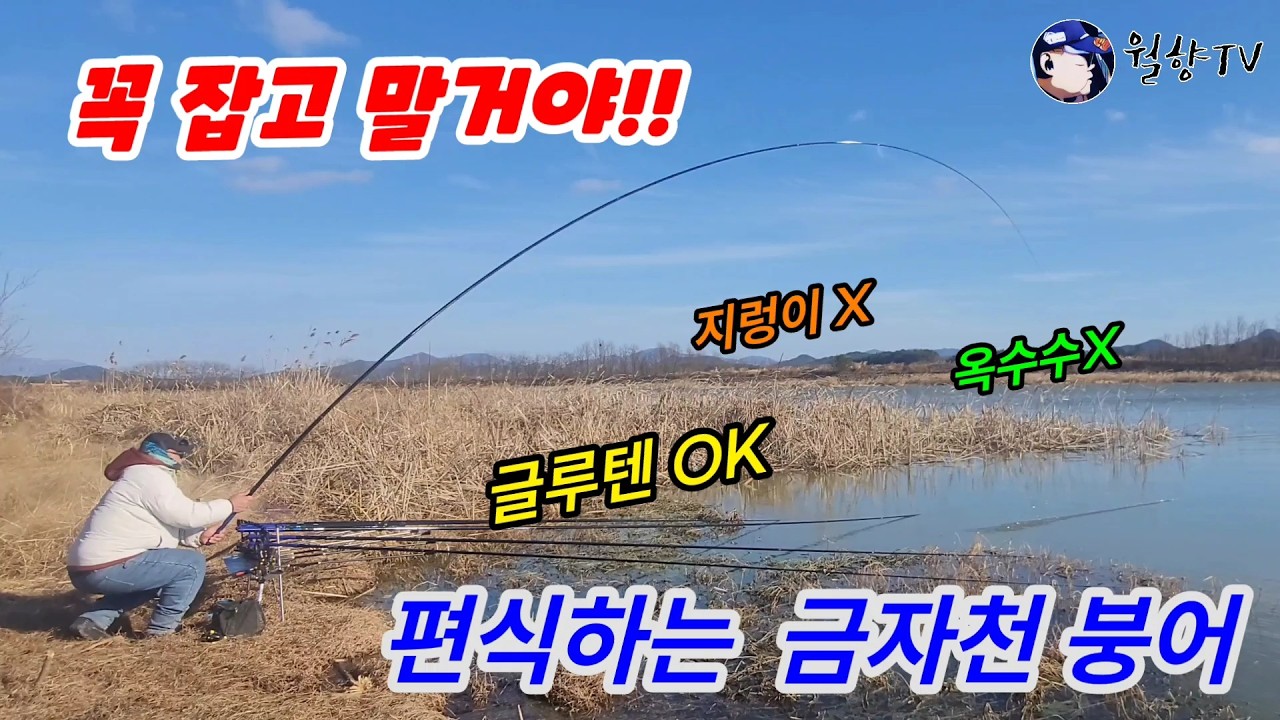 #붕어낚시 // 해남 금자천 // 꼭잡고말거야!! 지렁이X, 옥수수X, 글루텐OK 결국찾았다~~!! // (Korea big fishing) // #미라클스토리 #윤공방