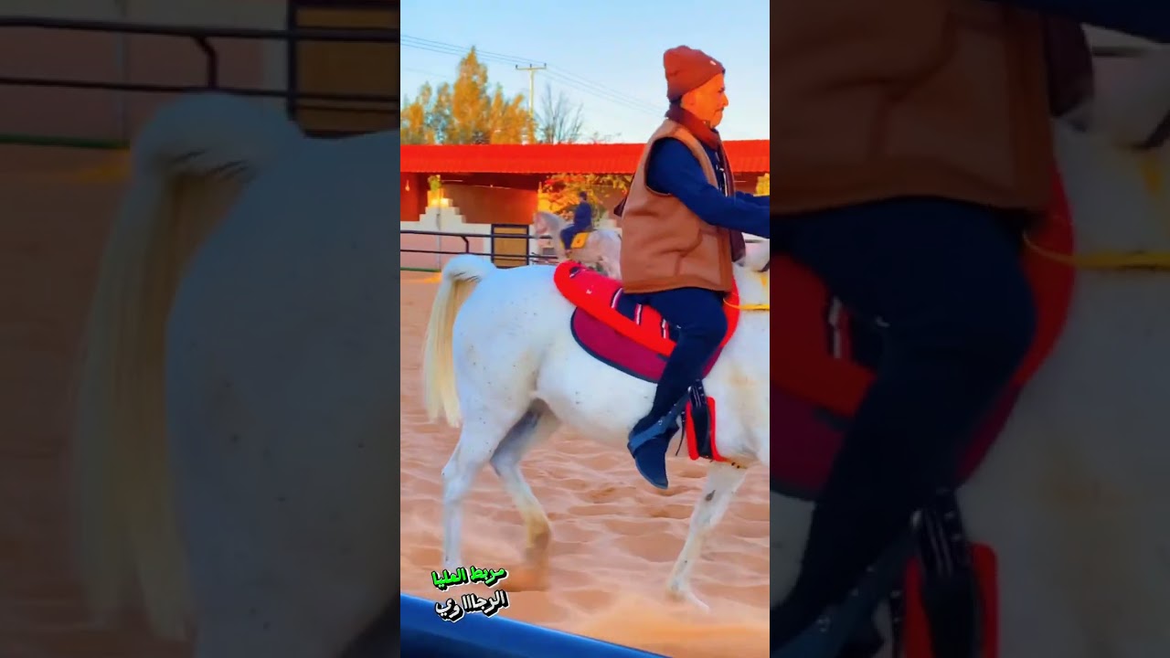 الرجاوي مربط راعي العليا🐎