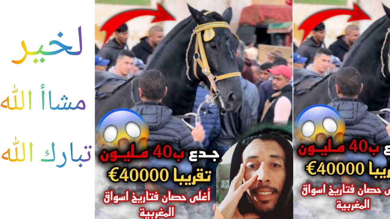 جدع بي 40 مليون أغلى حصان في تريخ الأسوق 