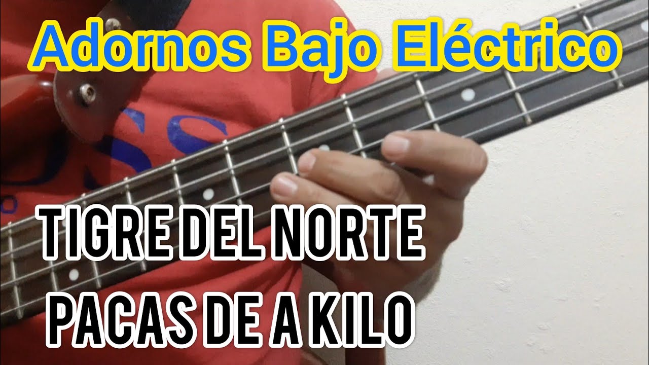 Adornos de Los Tigres del Norte en Bajo Eléctrico / Pacas de a kilo
