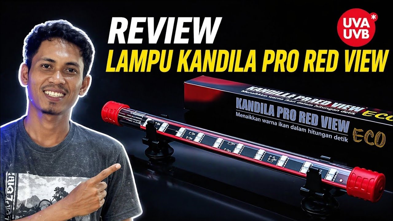 TERBARU‼️ KANDILA PRO RED VIEW ECO || Pecinta ikan hias wajib coba..