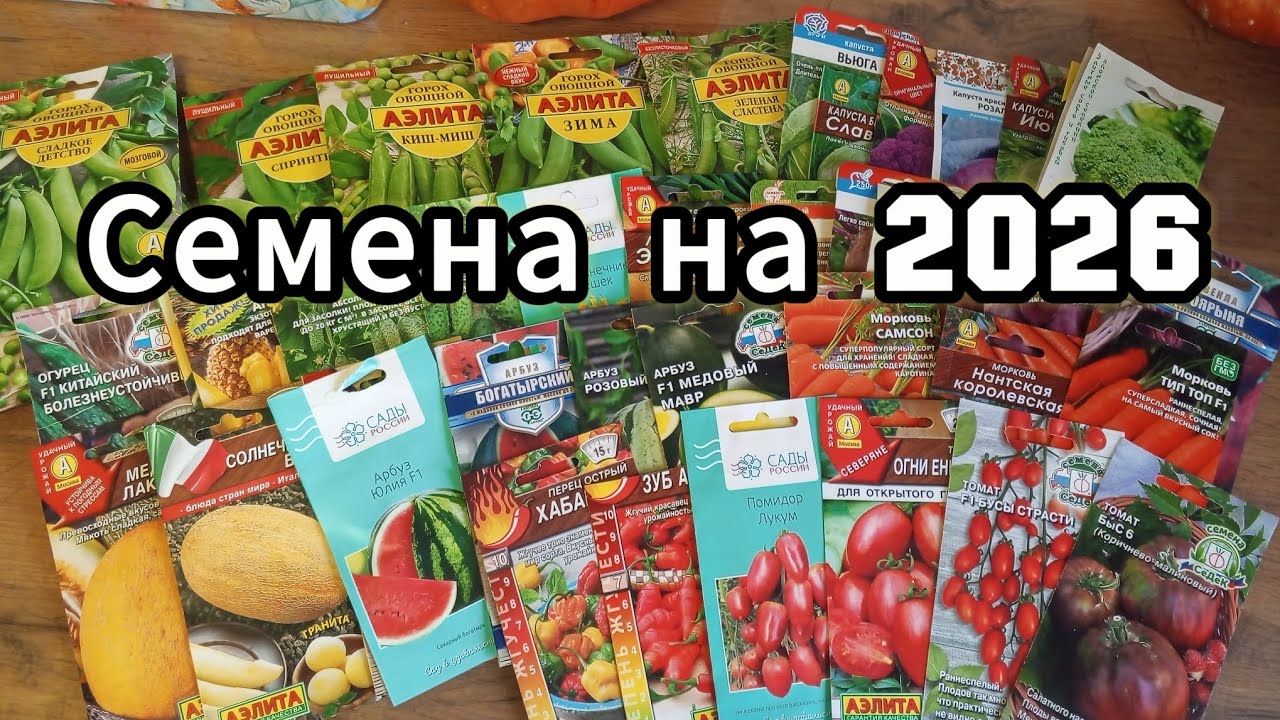 Семена на 2026 год😊Обзор🤔часть1