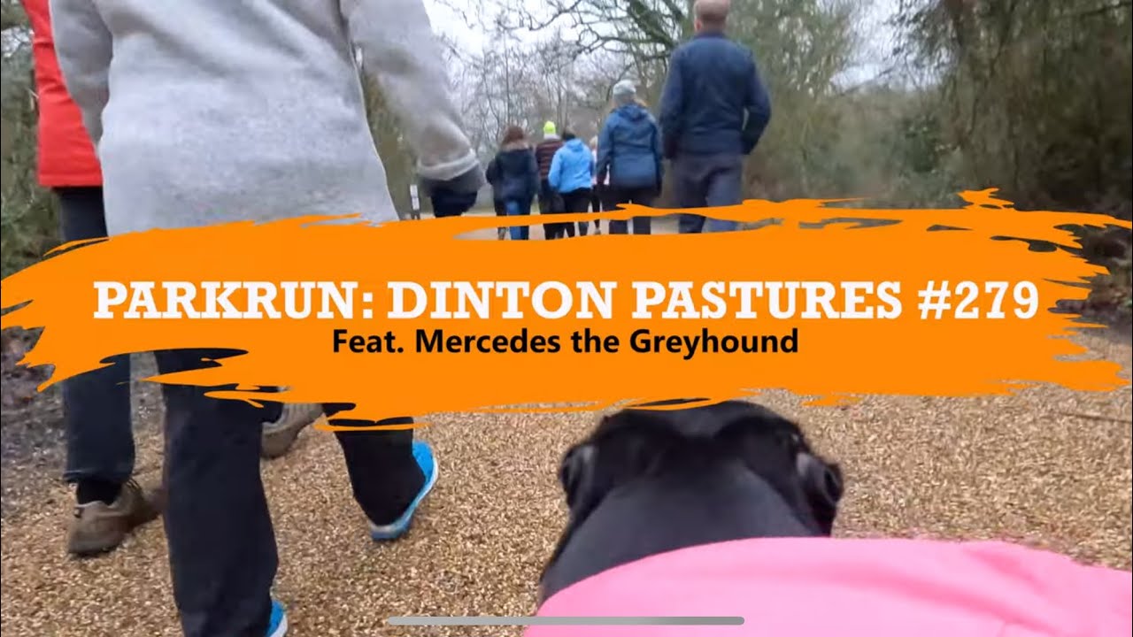 Parkrun Dinton Pastures #279 - 8th February 2025 (Barkrun with greyhound)