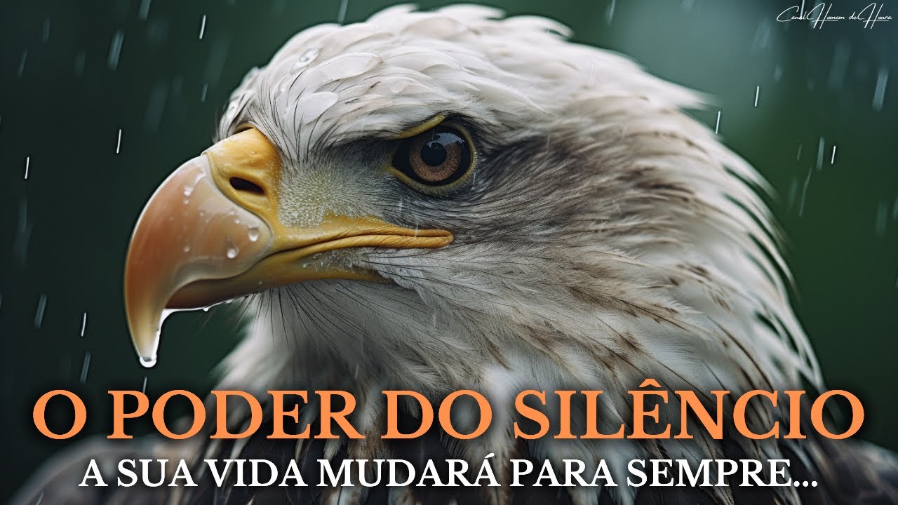 Á ÁGUIA SILENCIOSA | O Silêncio é o Verdadeiro Poder