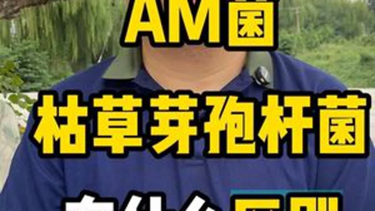 am菌和枯草芽孢杆菌的区别 #am菌 #枯草芽孢杆菌 #菌种 #农业种植 #种植技术