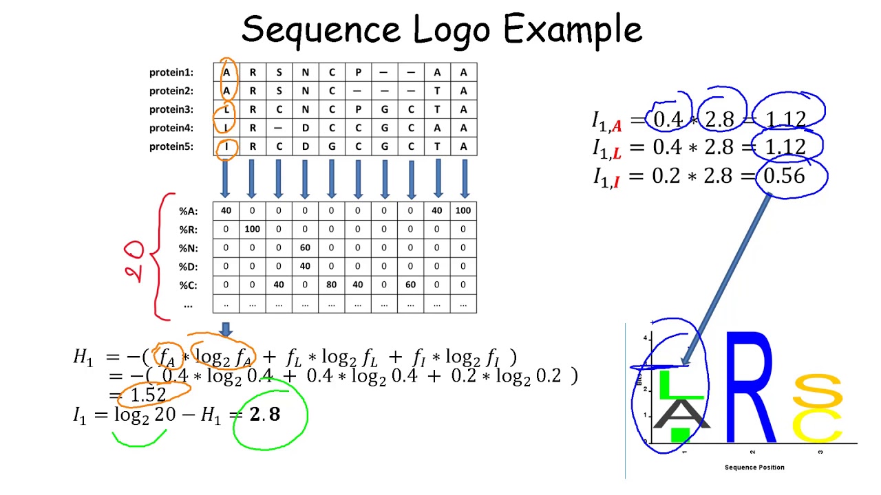 Sequence Profiles