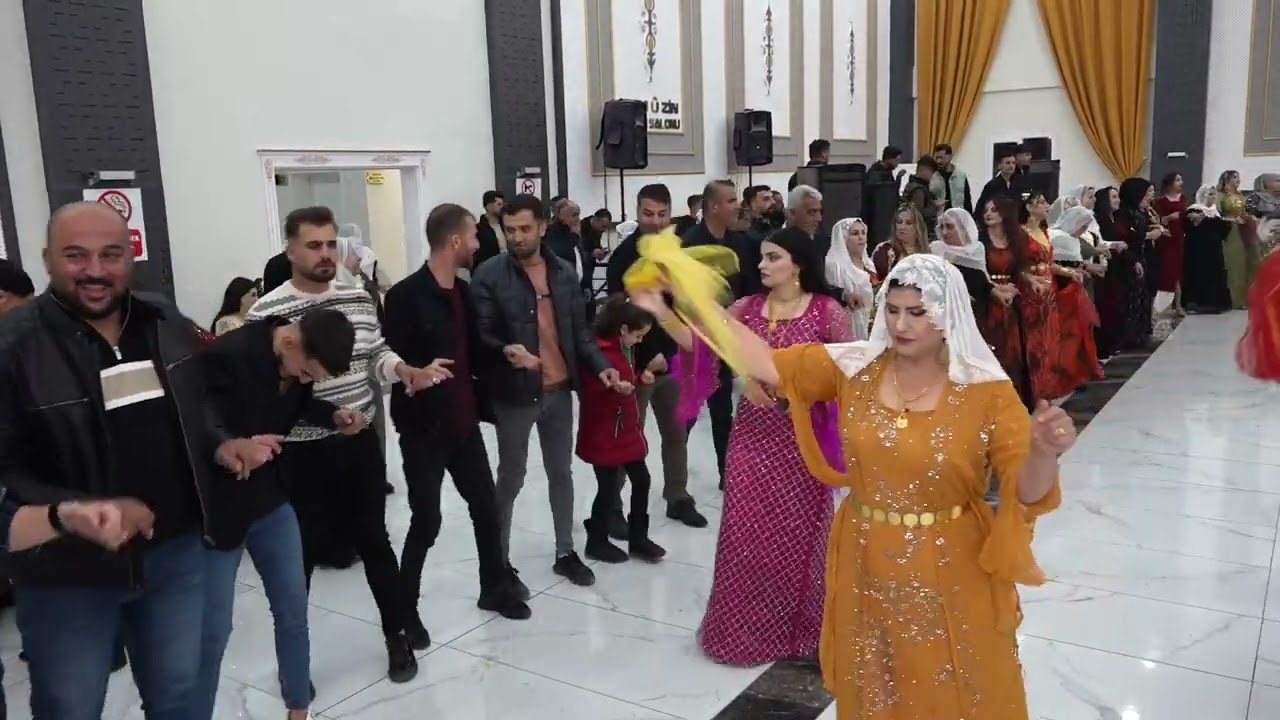 UCA AİLESİ Serdar Uca Düğünü Part 3 ( Grup Hozan Azad silopi ) 2023