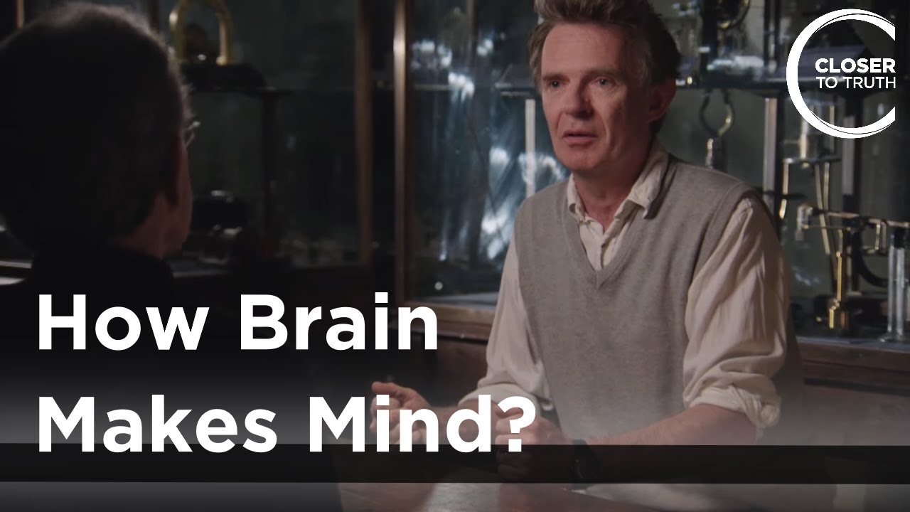 Galen Strawson - How Brain Makes Mind?