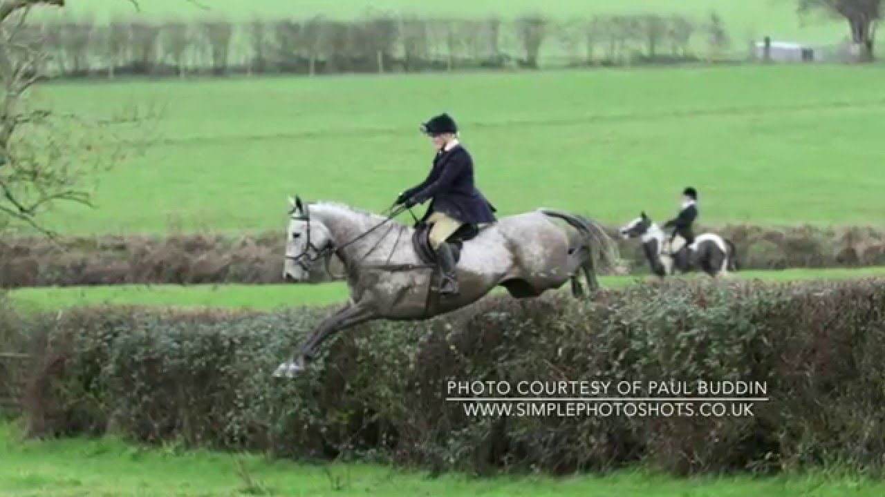 Farmers Bloodhounds @ Stowe 27.12.15