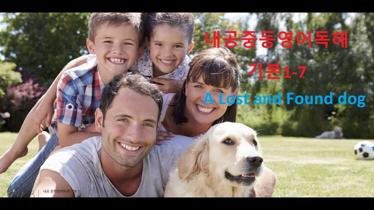 영어독해 기본 1 7 A lost and found dog #영어공부 #중등영어 #영어독해#기초영어#korean #english
