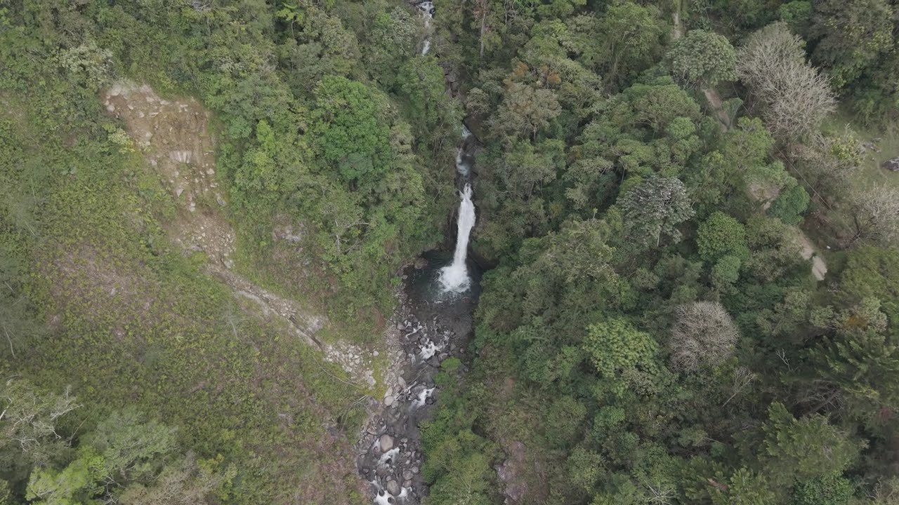 Cataratas iniciales de Cloudbridge Reserve.