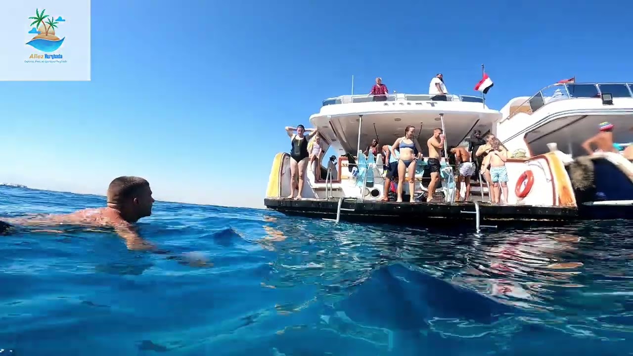 * Snorkeling en Mer Rouge : Hurghada, paradis des poissons colorés (سنوركل في البحر الأحمر: الغردقه