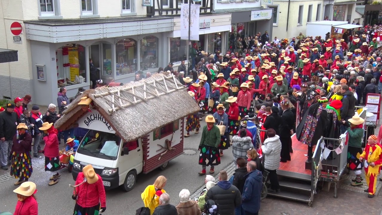 Gro&szlig;er N&auml;rrischer Umzug Hausach 23.02.2020