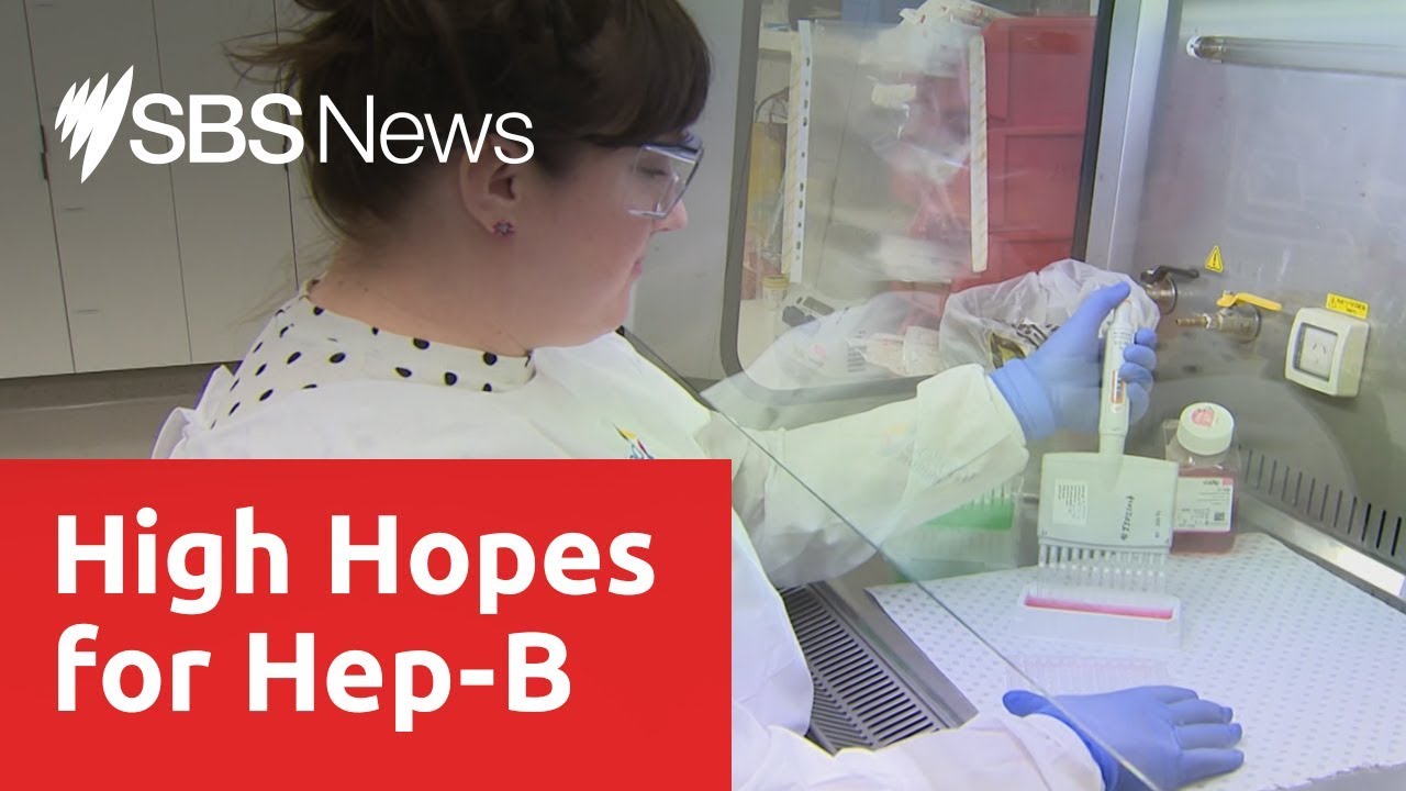 International scientists pledge to fast-track a cure to hepatitis B