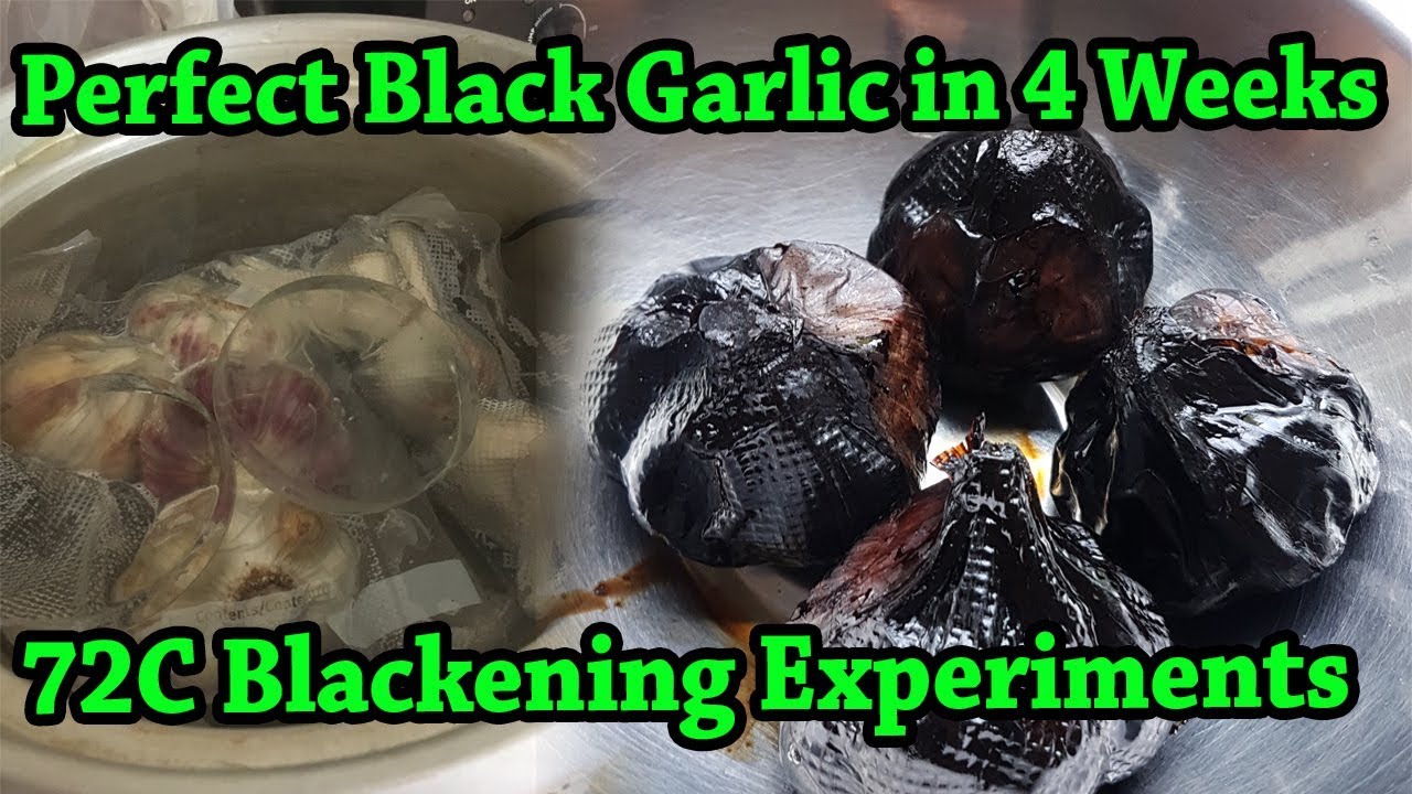 Perfect Black Garlic in 4 Weeks | 72&deg;C Blackening Experiments