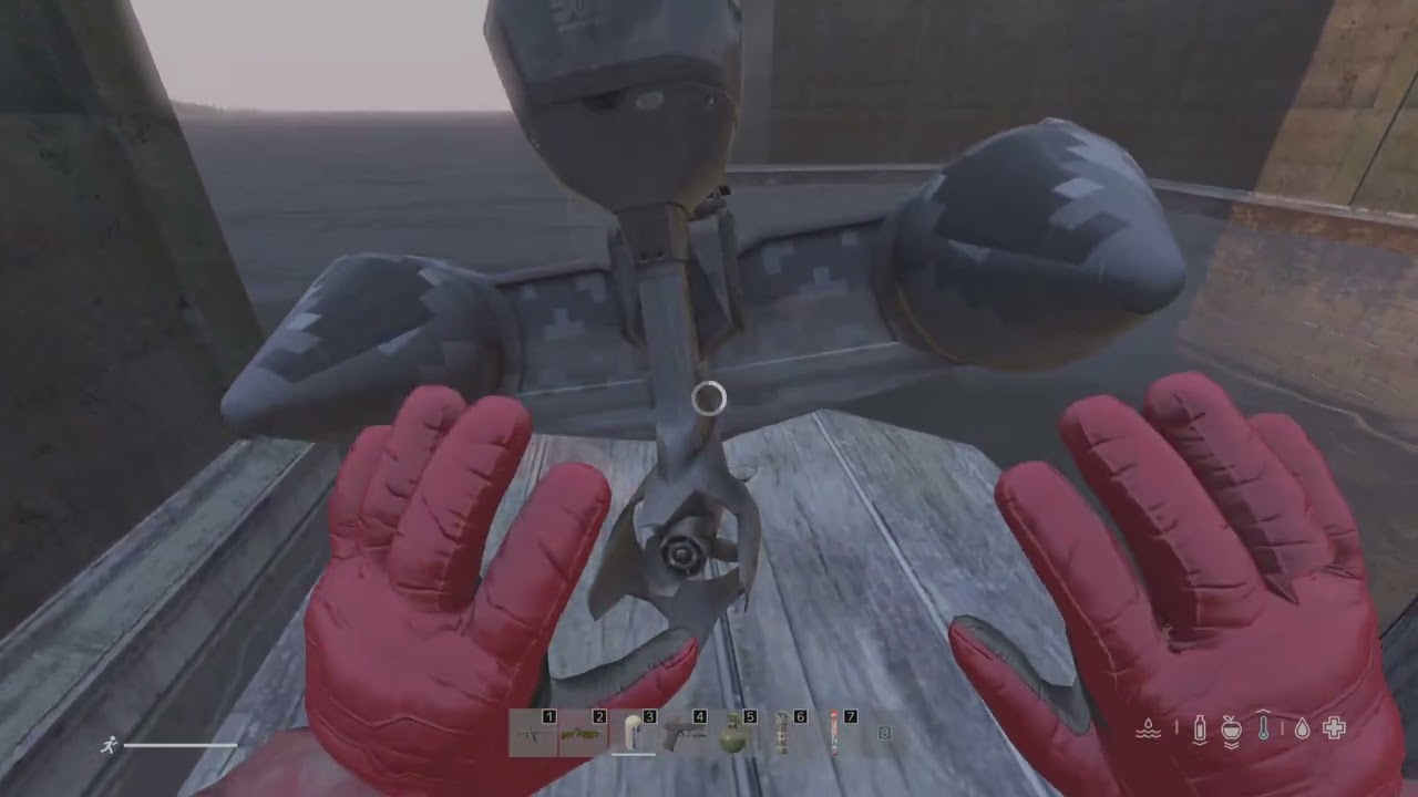 DayZ_20250612192653