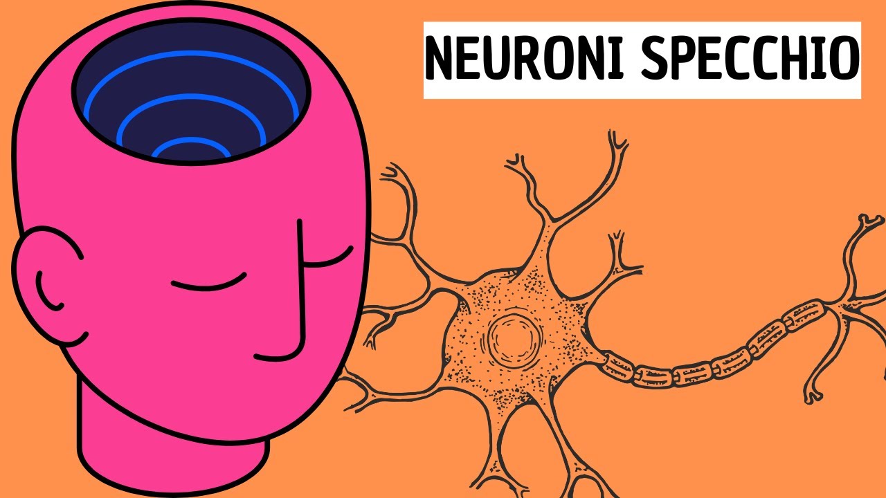 390| TUTTO quello che devi SAPERE sui NEURONI SPECCHIO