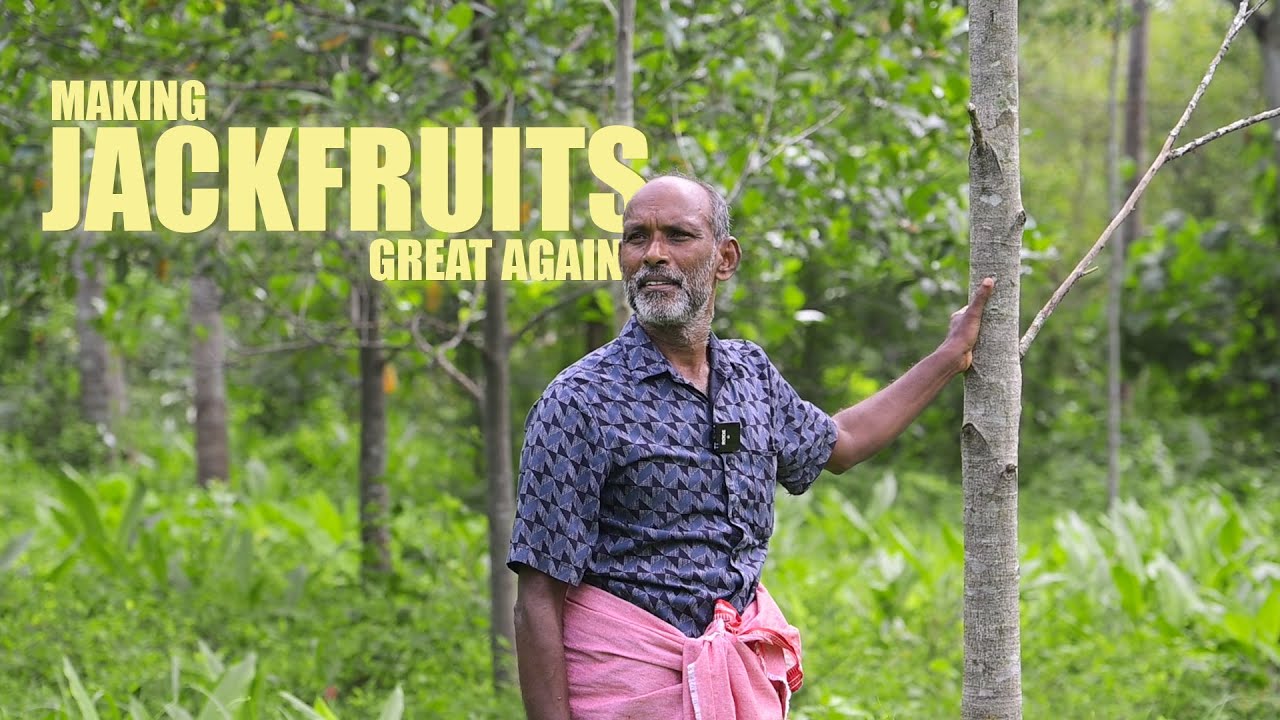 This man planted over 25000 jackfruit trees in Kerala