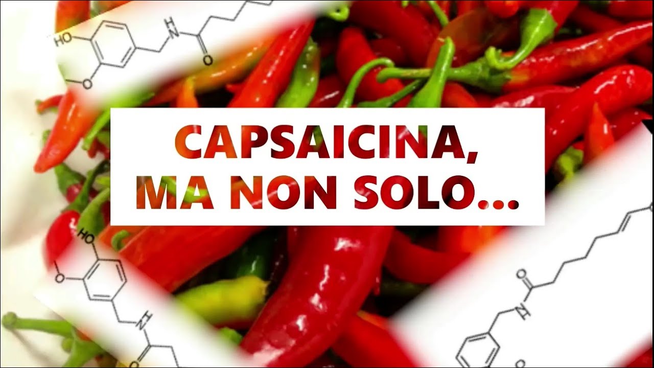 ALLA SCOPERTA DEI CAPSAICINOIDI!!!