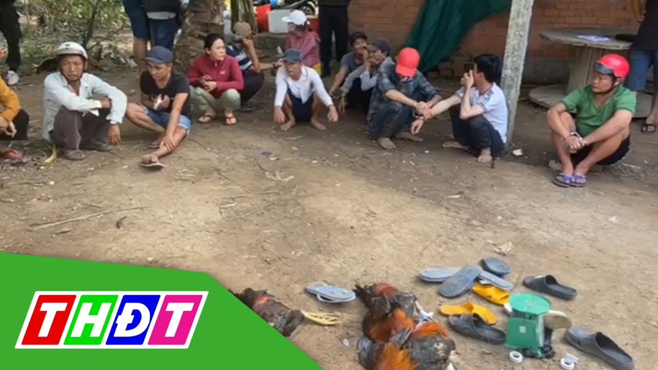 Bến Tre: Bắt quả tang 23 đối tượng đá gà và lắc tài xỉu ăn tiền | THDT