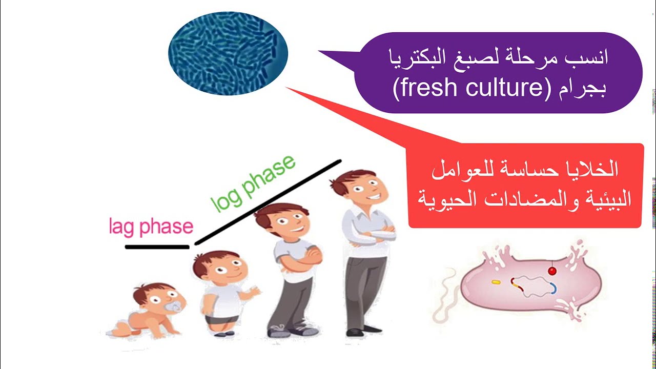 Microbiology: microbial growth curve - منحني نمو الميكروبي