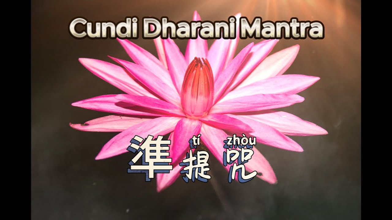 準提咒 Cundi Dharani Mantra / 一切皆滿願 All wishes fulfilled |  功德利益不可思議 | 祈願皆滿足 #zen #wisdom #準提佛母-「修行-覺醒」