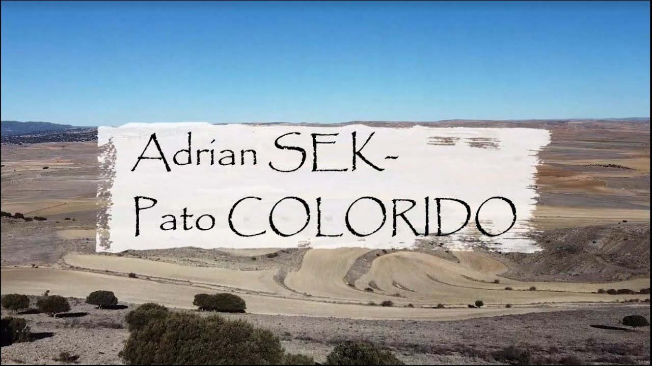 Adrian Sek - Pato colorido