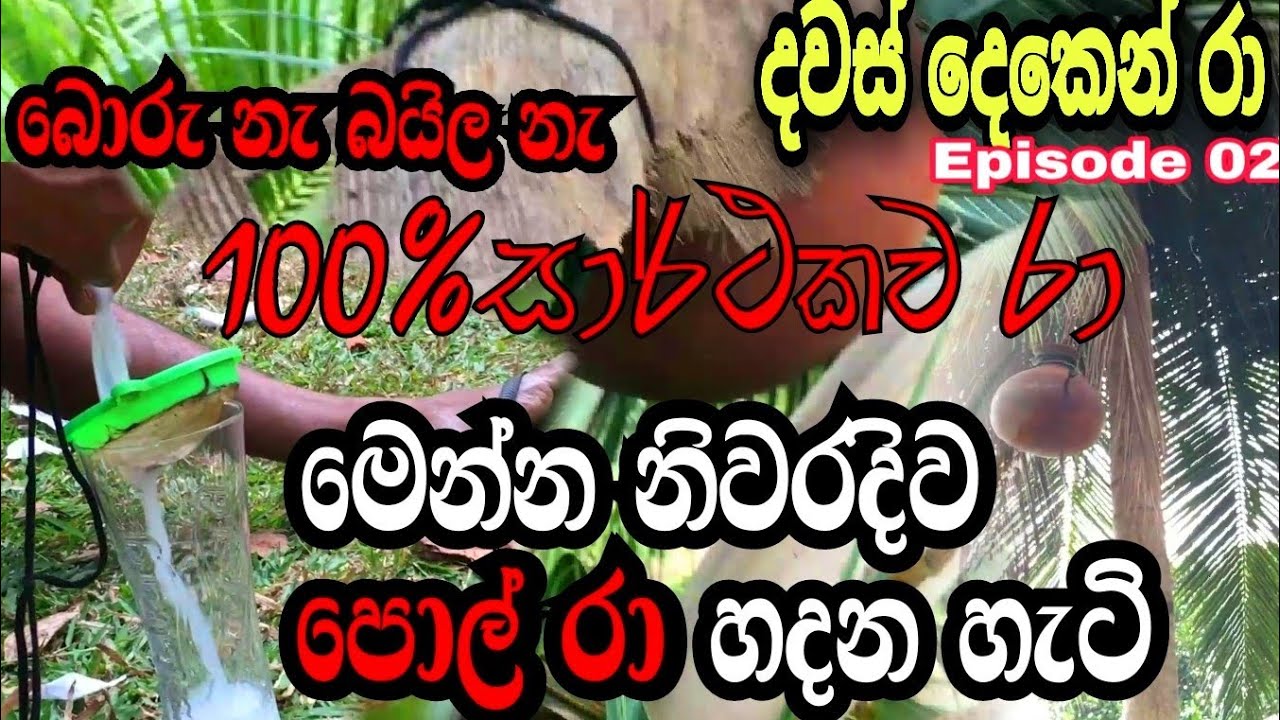 pol ra | Coconut arrack makeing || Coconut toddy | wishma lokaya