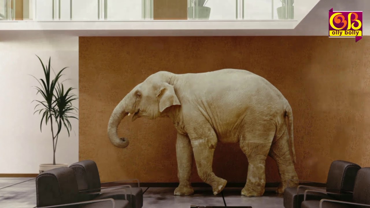 Know the Use of the Elephant Symbol in Feng Shui