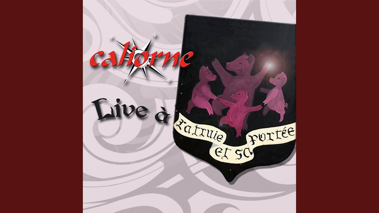 Lucie tu pars (Version live)