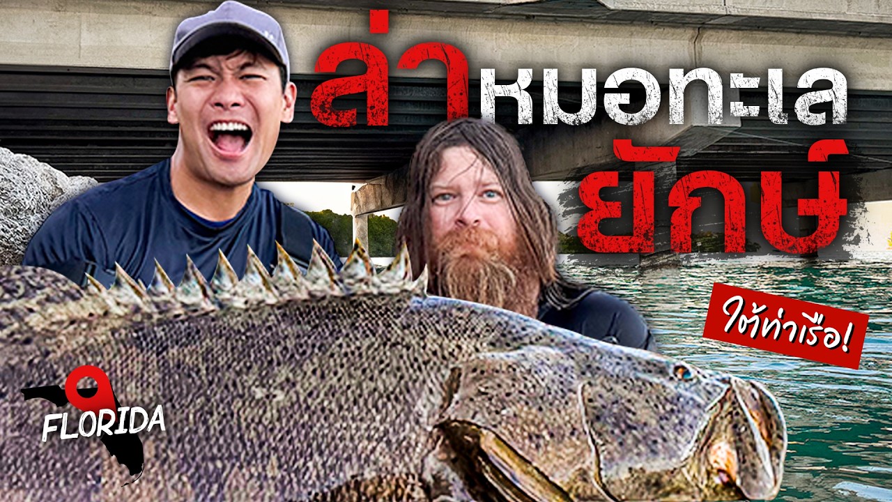 ล่าหมอทะเลยักษ์จากท่าเรือฟลอริดากับ@No.1 THAI !Land based Goliath Grouper! [สาระตั้ม - Thumbntk]