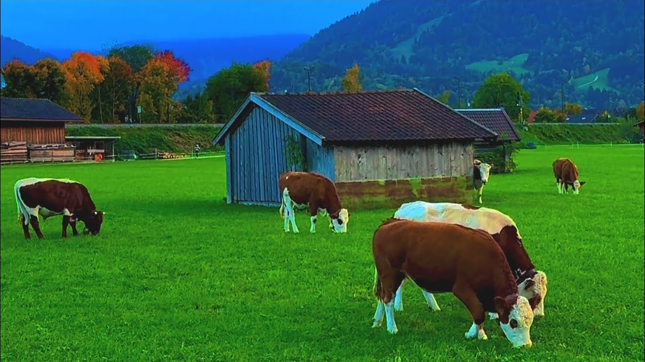 جولة في غارميش الريف الألمانية الطبيعة الخلابة | Strong German Garmisch 😍🇩🇪