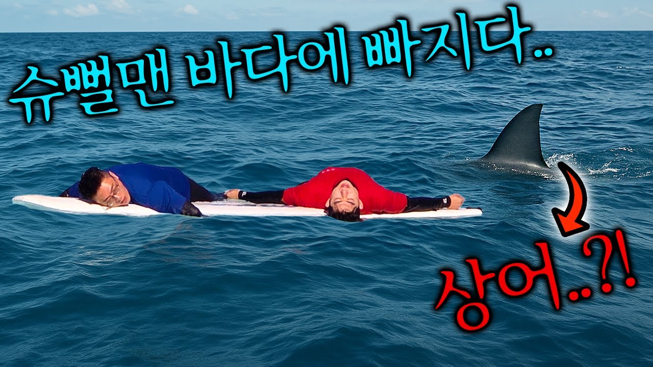 바다에 빠진 슈뻘맨?! 상어가 있다고!? 저건 트랄랄레로 트랄랄라?!