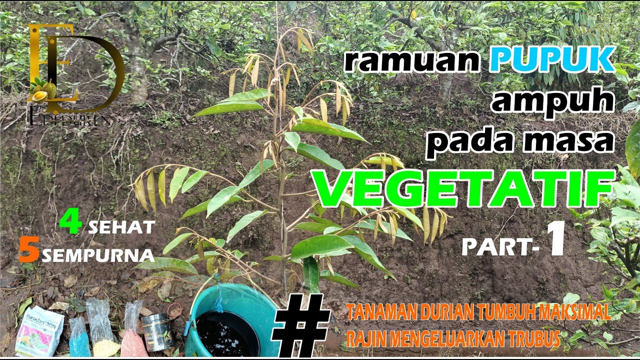 RESEP RAMUAN AMPUH ROTASI PEMUPUKAN FASE VEGETATIF BESERTA PUPUK YANG KITA PAKAI + TAKARANNYA-Part 1