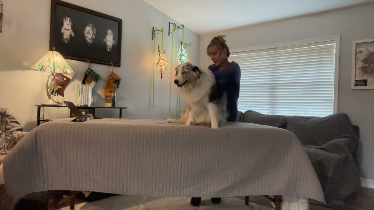 Kota Case Study #2 Part 2a