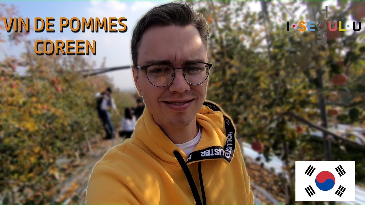 VIN DE POMMES COREEN