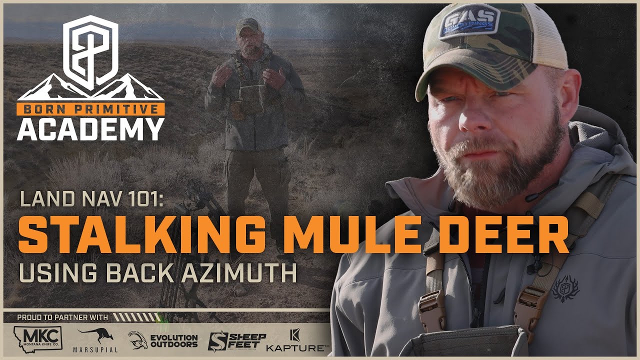 Stalking Mule Deer / Using Back Azimuth | Land Nav 101 | Aron Snyder | Born Primitive Academy