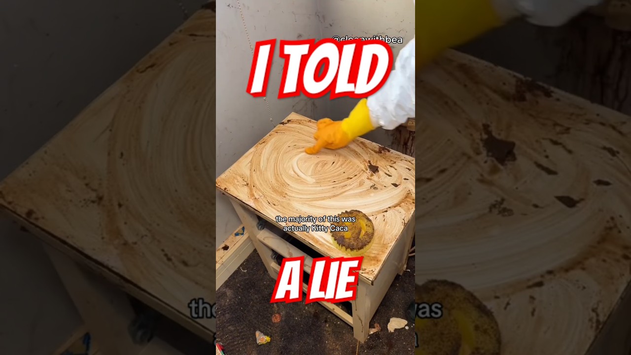 Extreme Cleaning Transformation! Shoutout to Gus from @Scrub Daddy UK