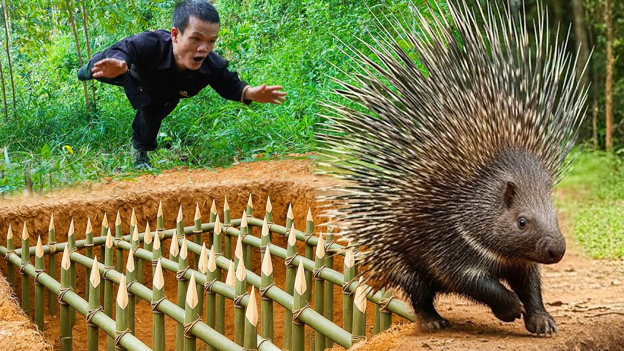 Dwarf Family Makes a Hedgehog Trap | Hedgehog Trap in the Forest | Dwarf Survival