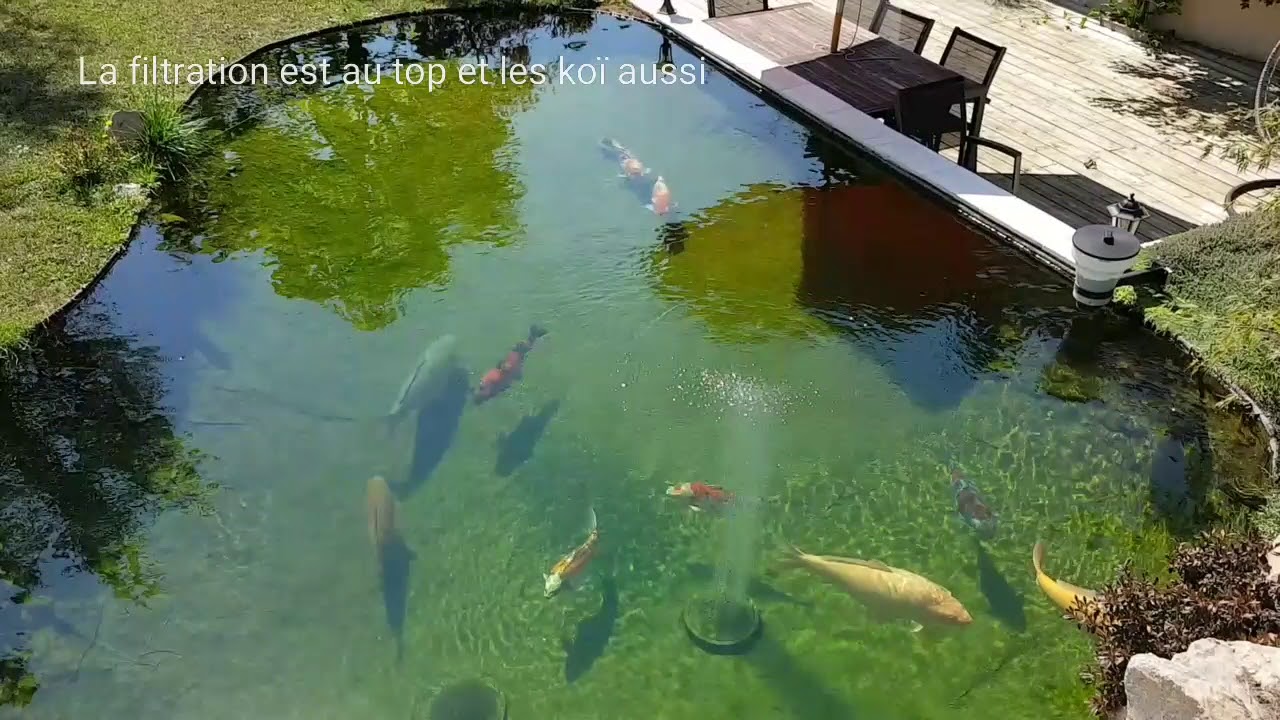 Mon bassin et filtration maison ( Filtre à tambour + tapis japonais et super bead )
