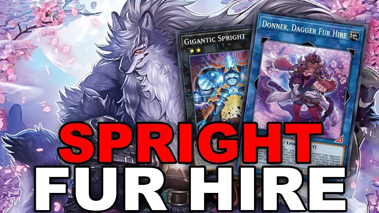 NEW SPRIGHT FUR HIRE! DONNER + REX DRAW 5 CARD COMBO! GUIDE + DECKLIST! (Yu-Gi-Oh! Master Duel)