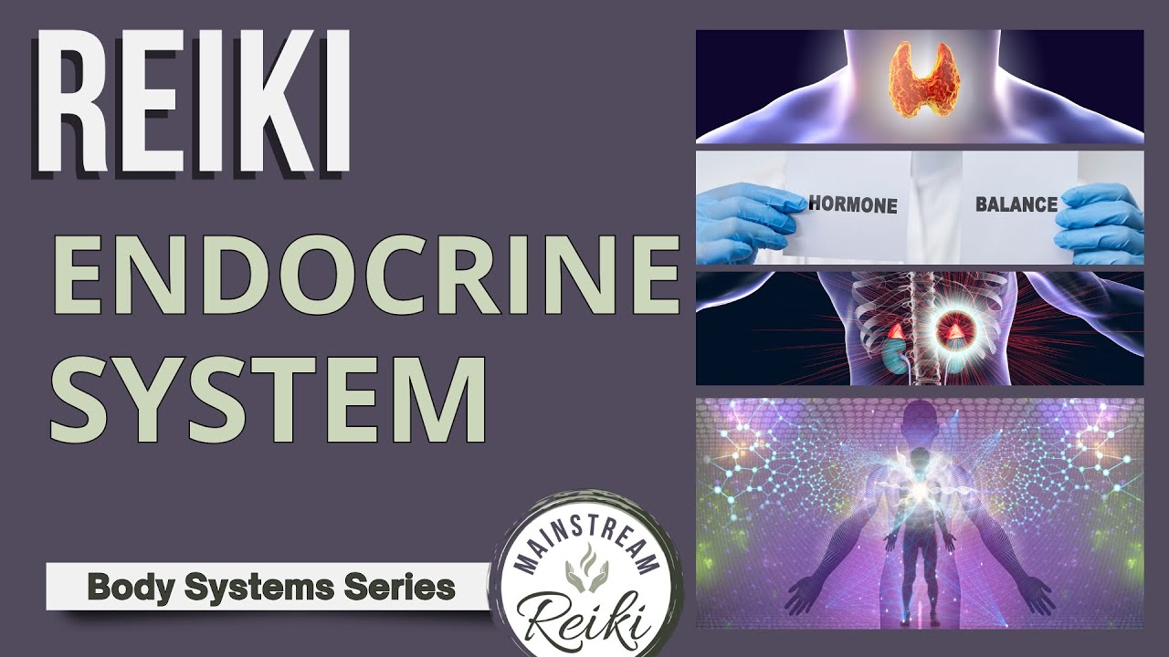 Reiki for Your Endocrine System 🌀 #4 in Series
