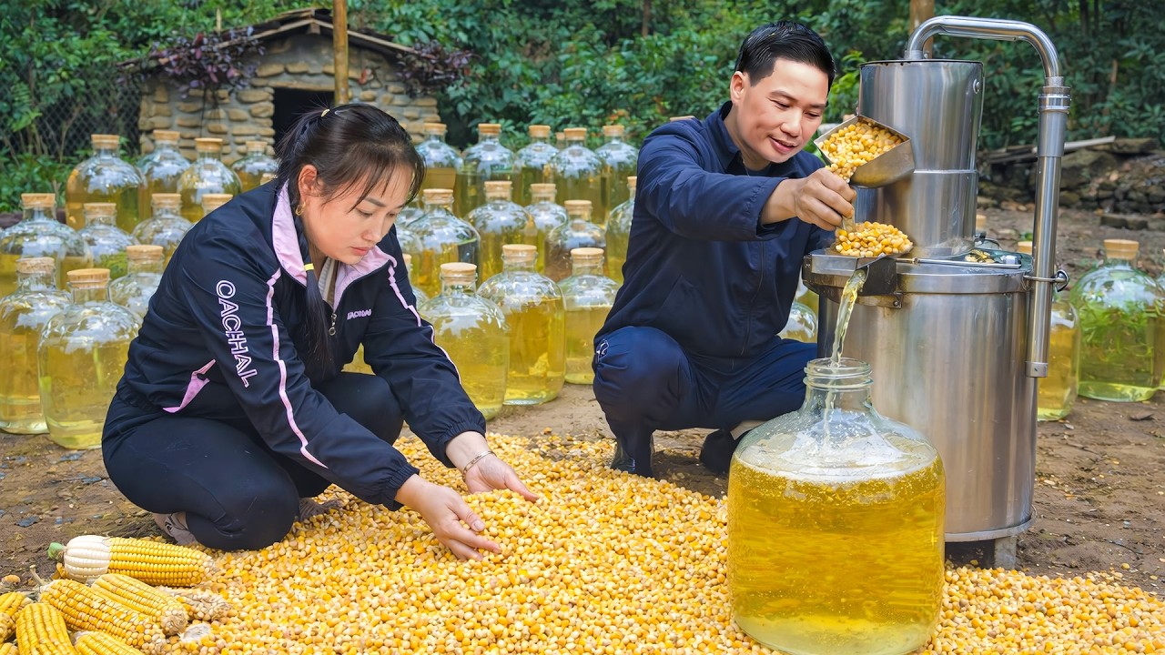 Ancient Corn Wine Method—The Fermentation Process Using Natural Probiotics