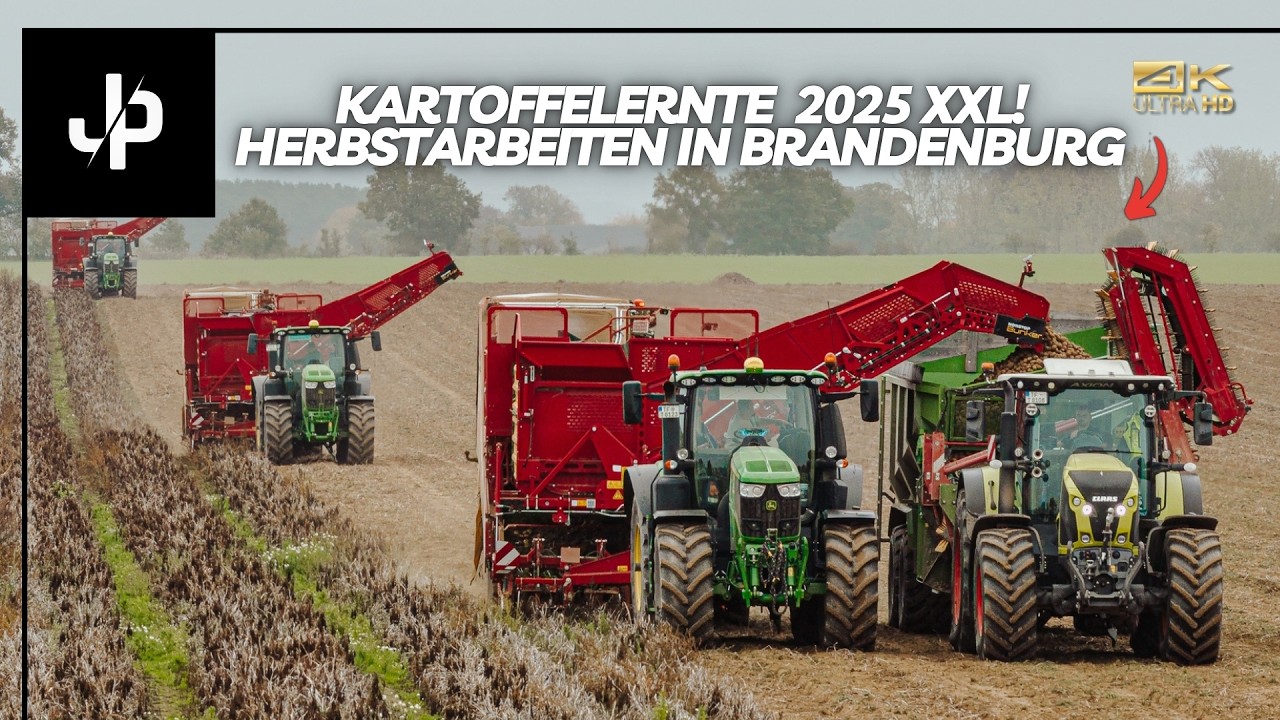 Kartoffelernte und Maisernte in Brandenburg! || JP Agrar