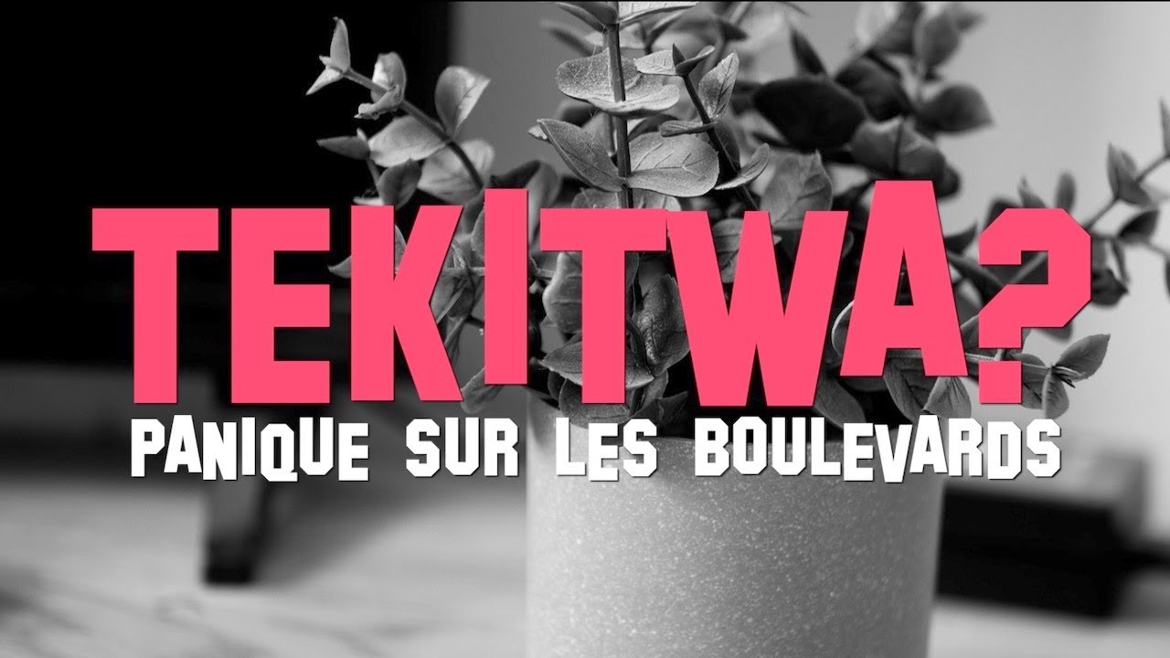 TEKITWA ? | Panique sur les boulevards | Papillons Blancs d'entre Saône-et-Loire